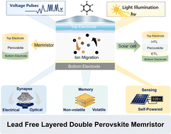 Graphical abstract: Lead-free layered halide double perovskites with aromatic organic cations for resistive switching memories and artificial synapses