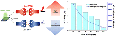 Graphical abstract: Gate-controlled neuromodulatory optical synaptic transistor for adaptive learning and energy-accuracy balance