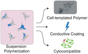 Graphical abstract: Suspension polymerization of bioelectronic interfaces on living cells