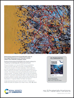 Graphical abstract: Back cover