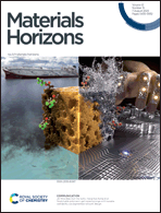 Graphical abstract: Inside front cover