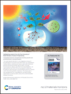 Graphical abstract: Inside back cover