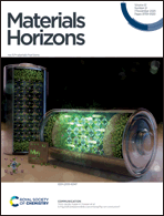 Graphical abstract: Inside front cover