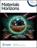 Graphical abstract: Inside front cover