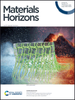 Graphical abstract: Inside front cover