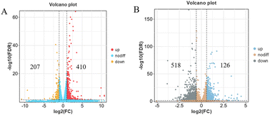 Graphical abstract: Transcriptome and proteome analyses reveal the virulence of the Vibrio alginolyticus effector gene vopR