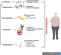 Graphical abstract: The omics revolution in obesity: from molecularsignatures to clinical solutions