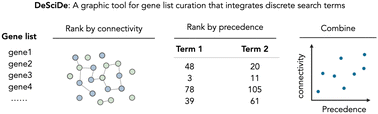 Graphical abstract: DeSciDe: a tool for unbiased literature searching and gene list curation unveils a new role for the acidic patch mutation H2A E92K