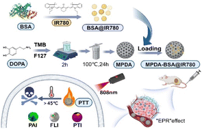 Graphical abstract: BSA@IR780-loaded mesoporous polydopamine nanoparticles with enhanced photostability for multimodal imaging and photothermal therapy of tumors