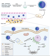 Graphical abstract: Folate receptor-targeted pH-sensitive liposomes loaded with TGX-221 against prostate cancer by inhibiting PI3K/110β signaling