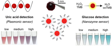 Graphical abstract: A dual-functional nanogold tablet as a plasmonic and nanozyme sensor for point-of-care applications