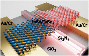 Graphical abstract: High-responsivity InSe/TaSe2 photodetectors integrated on low-loss silicon nitride waveguides