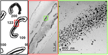 Graphical abstract: Immature cotton fibers upcycled into advanced natural nanoparticle synthesizers
