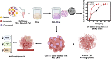Graphical abstract: Cobalt–nickel metal–organic frameworks (CNMs) as drug delivery agents for triple-negative breast cancer
