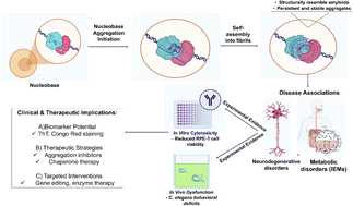 Graphical abstract: Nucleobase self-assembly: aggregation, morphological characterization, and toxicity analysis