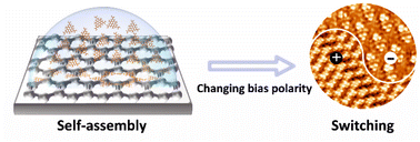 Graphical abstract: Switching of supramolecular nanostructures at the solid–liquid interface: interplay of bias polarity and solution concentration