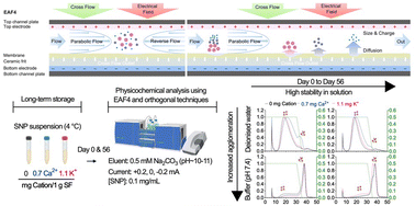 Graphical abstract: Evaluating the impact of bioinspired counterion inclusion on silk nanoparticle physicochemical attributes and physical stability