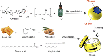 Graphical abstract: Polycaprolactone/chitosan core–shell nanoparticles for the acceleration of second-degree burn healing in CD1 mice