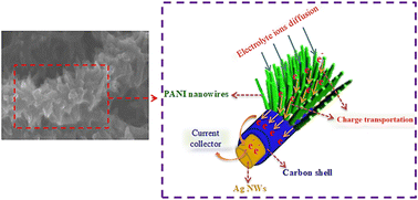 Graphical abstract: Carbon–polyaniline coaxial structures for enhanced charge transfer and capacitance in supercapacitors