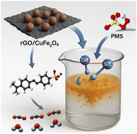 Graphical abstract: Copper ferrite–graphene oxide catalyst for enhanced peroxymonosulfate activation and pollutant degradation