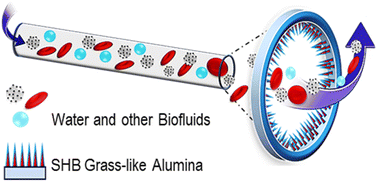 Graphical abstract: A biofluid-repellent nanograss coating enhances flow of protein solutions and preserves transparency of glass capillaries upon exposure to blood