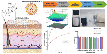 Graphical abstract: Enhancing 3-acetyl-11-keto-β-boswellic acid skin permeation via nanostructured lipid carriers: integrating quality by design principles for risk estimation and optimization