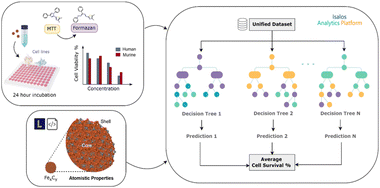 Graphical abstract: Atom-level descriptors and explainable prediction of iron carbide nanoparticles' cytotoxicity via the Enalos Cloud platform
