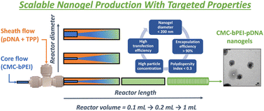 Graphical abstract: Microfluidic engineering of pDNA nanogels in a coaxial flow reactor: process development, optimisation, scalability and in vitro performance