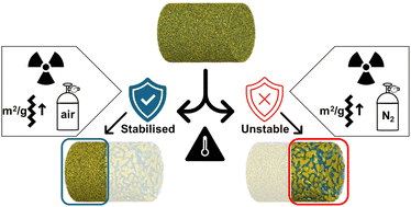 Graphical abstract: Hard X-ray nanotomography reveals anomalous and expected thermal coarsening behaviour of nanoporous gold