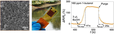 Graphical abstract: Hematite α-Fe2O3 nanorods and laser-induced graphene for sustainable chemiresistive sensing of 1-butanol at room temperature