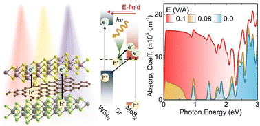 Graphical abstract: Electrostatically enhanced infrared absorption in two-dimensional van der Waals structures