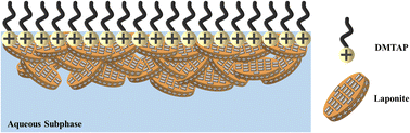 Graphical abstract: Structural morphology of nanoclay films at the air–water interface under varying ionic compositions of the subphase medium