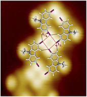 Graphical abstract: Halogen bonding-guided growth of heteroatom-rich polycarbazole wires on Au(111)