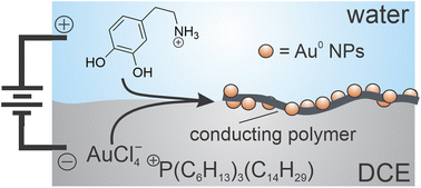 Graphical abstract: Electropolymerization of Au nanoparticle incorporated poly(dopamine) thin-films at a micro liquid|liquid interface