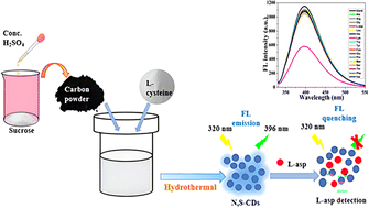 Graphical abstract: Novel synthesis of positively charged N,S-doped carbon dots as an efficient fluorescent probe for l-aspartic acid sensing