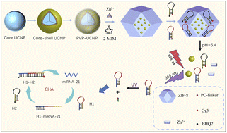Graphical abstract: A catalytic hairpin amplification platform triggered by near-infrared light and logic assembly for sensitive detection of microRNAs