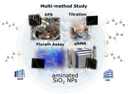 Graphical abstract: Quantifying surface groups on aminated silica nanoparticles of different size, surface chemistry, and porosity with solution NMR, XPS, optical assays, and potentiometric titration