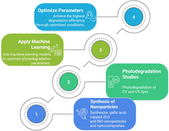 Graphical abstract: Antioxidant potential and increased photocatalytic efficiency of gallic acid-capped ZnO and NiO NPs for azo dye degradation: effect of heterojunction coupling and machine learning-assisted modeling