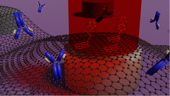 Graphical abstract: Hybrid dielectric–graphene nanostructured SERS substrates for antibody sensing