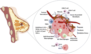 Graphical abstract: Nanotechnology in triple-negative breast cancer: a review of nanocarrier systems for enhanced efficacy and reduced toxicity