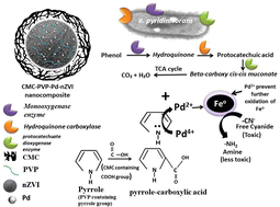 Graphical abstract: Sequential treatment of cyanide and phenolic mixtures using CMC-PVP-nZVI/Pd and Rhodococcus pyridinivorans strain PDB9T N1