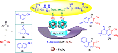 Graphical abstract: l-Arg@ZY-Fe3O4 mesoporous nanomaterial: a novel magnetically recoverable bio-organocatalyst for three-component synthesis of 4H-pyran and -chromene derivatives