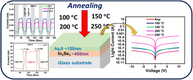 Graphical abstract: Diffusion-induced enhanced photoresponsivity and detectivity in an Ag2S/In2Se3 heterostructure for a UV-visible photodetector: an experimental and computational analysis