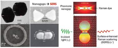 Graphical abstract: SERS and SEF with enhancement in nanogaps: from fabrication to biosensing