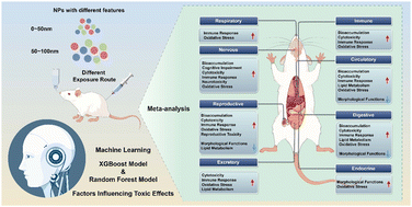 Graphical abstract: Toxicity of nanoplastics: machine learning combined with meta-analysis
