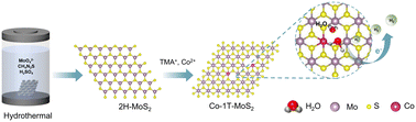 Graphical abstract: Achieving highly efficient electrocatalytic hydrogen evolution with Co-doped MoS2 nanosheets