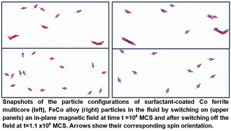 Graphical abstract: Magnetically controlled cluster formation/dissociation in high-moment nanoparticle-based ferrofluids