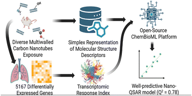 Graphical abstract: TRIumph in nanotoxicology: simplifying transcriptomics into a single predictive variable
