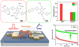 Graphical abstract: Harnessing glycol–alkyl copolymerization to realize nonvolatile and biologically relevant synaptic behaviors