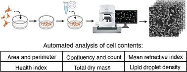 Graphical abstract: Subcellular nanoparticle trafficking investigated with label-free, live cell imaging